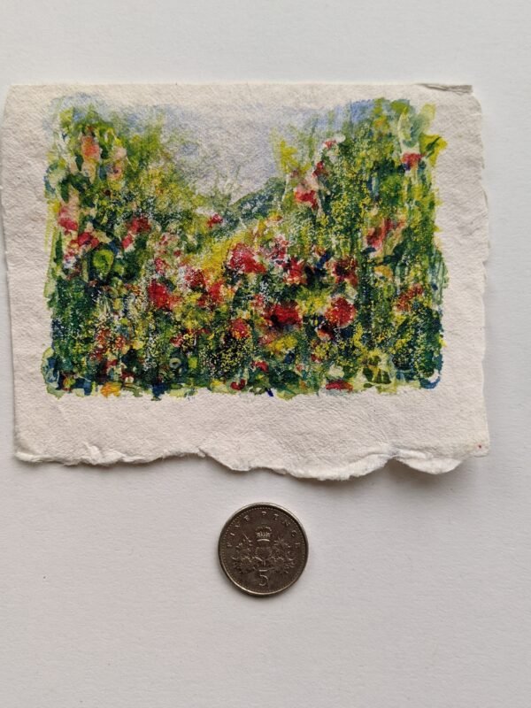 Small watercolour flower painting of poppies and grass. ACEO size