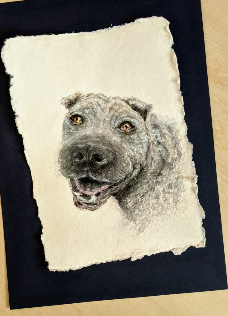 Pet portrait of a Sharpei called Brock. Original watercolour dog portrait on handmade paper. One of several pet paintings on this UK artist's page. Emma is a UK pet artist.
