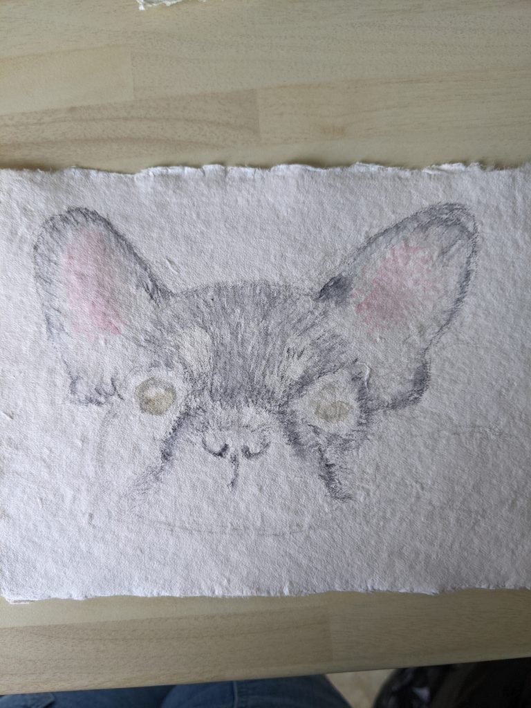 First layer of pet portrait