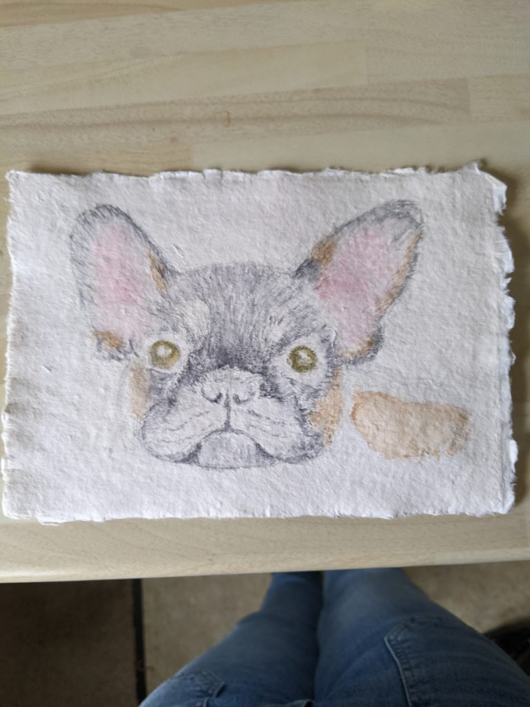 Pet Portrait of a Frenchie - second layer