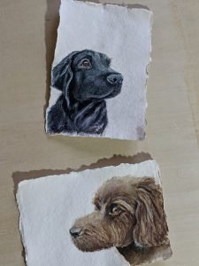 labrador and sproodle paintings pet portraits uk
