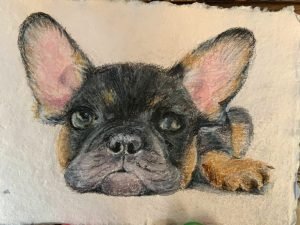 Small watercolour dog painting. This portrait is of a French Bulldog. Painted by UK artist Emma Herbert who specialises in painting pets, landscapes, and flowers in watercolour.