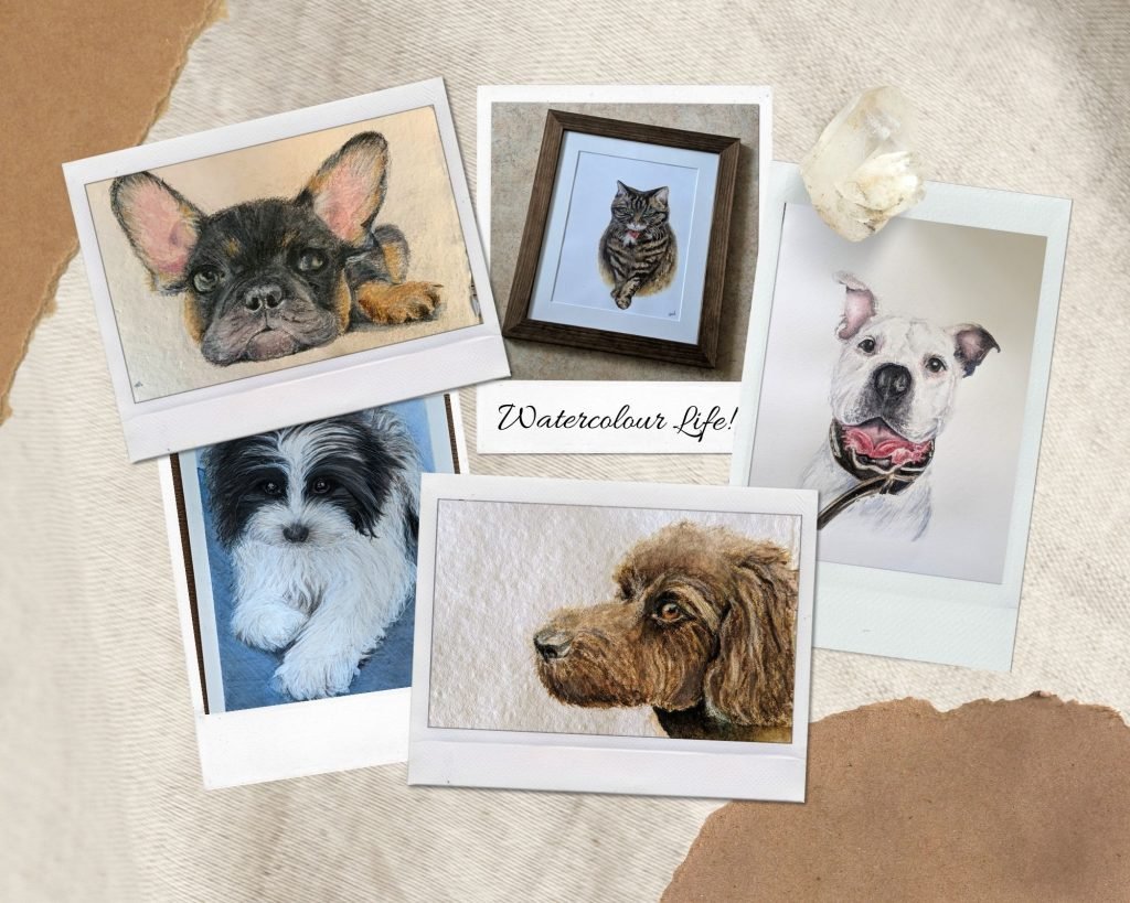 Examples of Pet Portraits in Watercolour