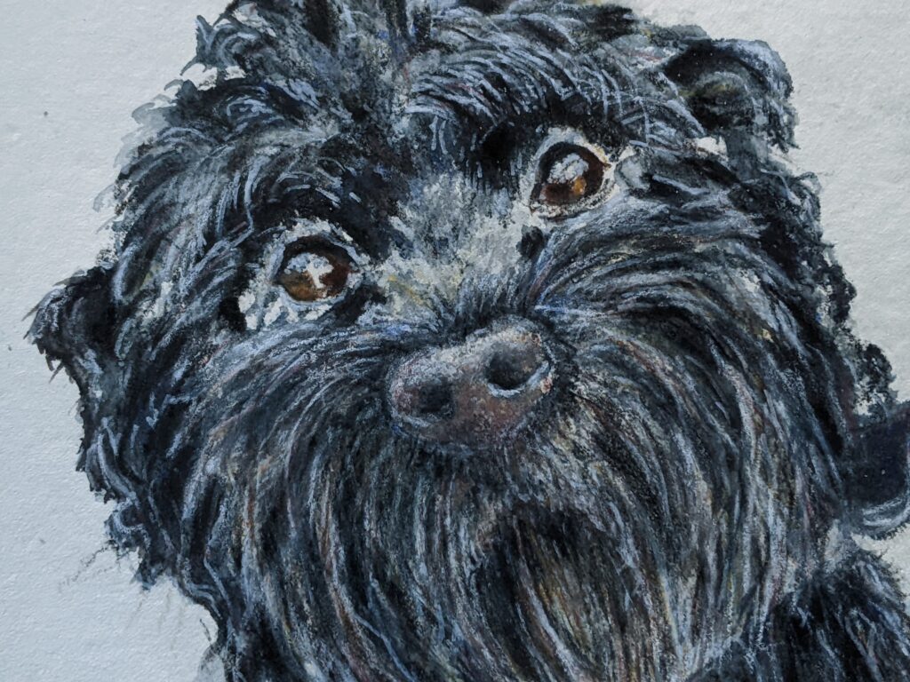 Dog watercolour painting on handmade paper. pet portrait by Emma Herbert