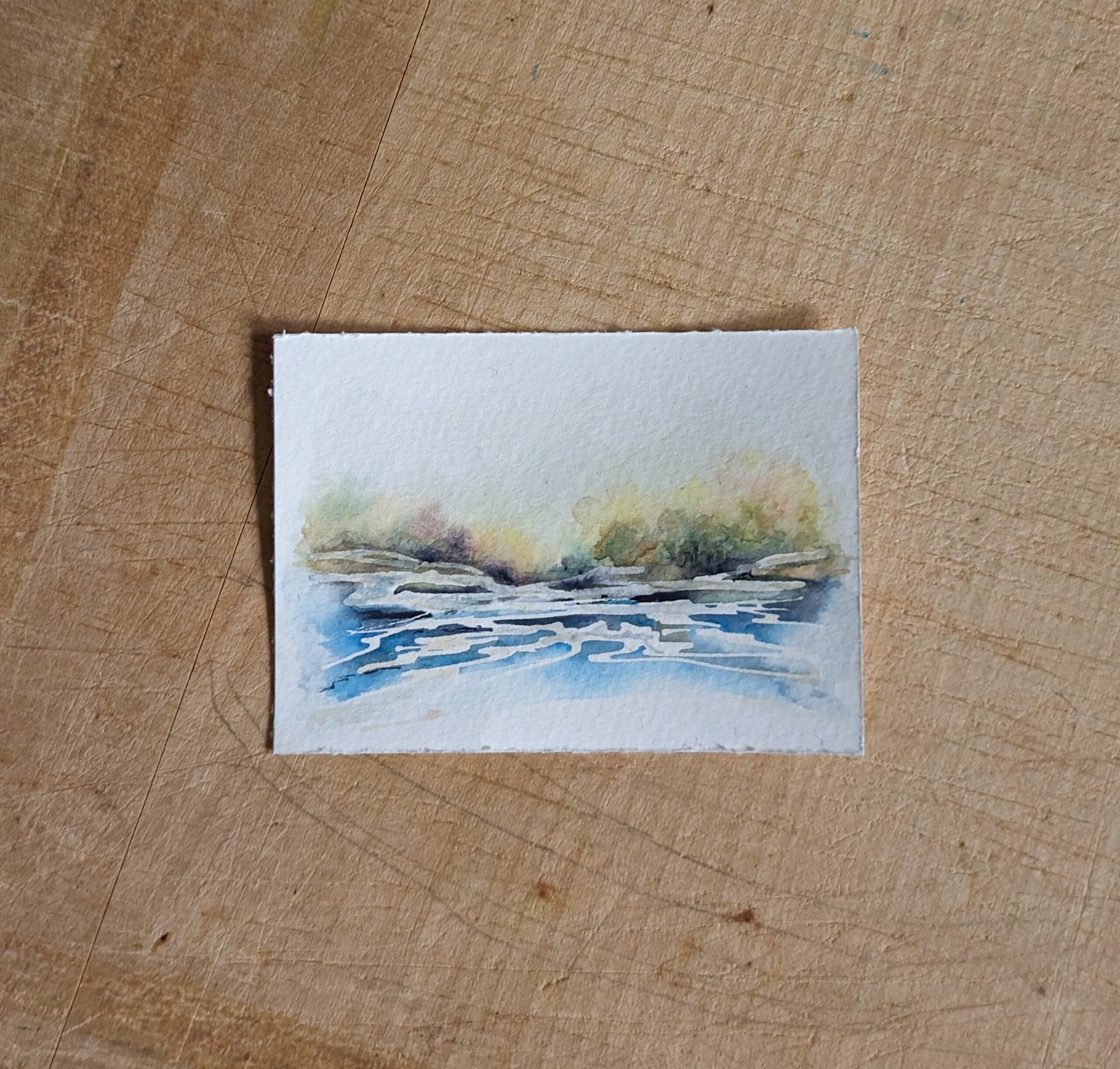 ACEO artist trading card. A seascape with trees on the horizon. 
