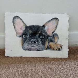 watercolour pet portrait