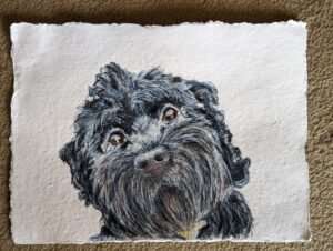 Watercolour dog portrait. A black, scruffy puppy with a shiny nose, painted on cotton rag paper.