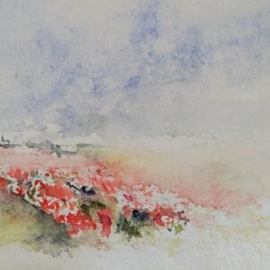 Poppy painting in watercolour inspired by the Normandy countryside in France