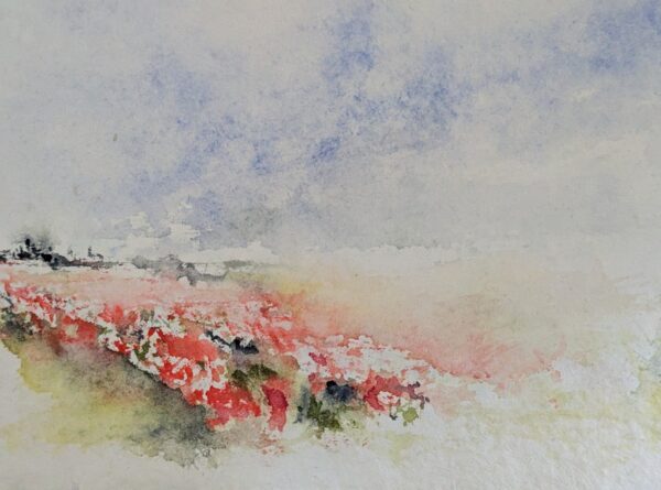 Poppy painting in watercolour inspired by the Normandy countryside in France