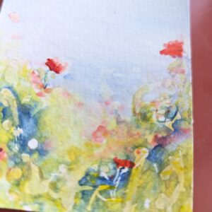 ACEO flower painting by Emma Herbert. Poppies in the meadow Summer 2026