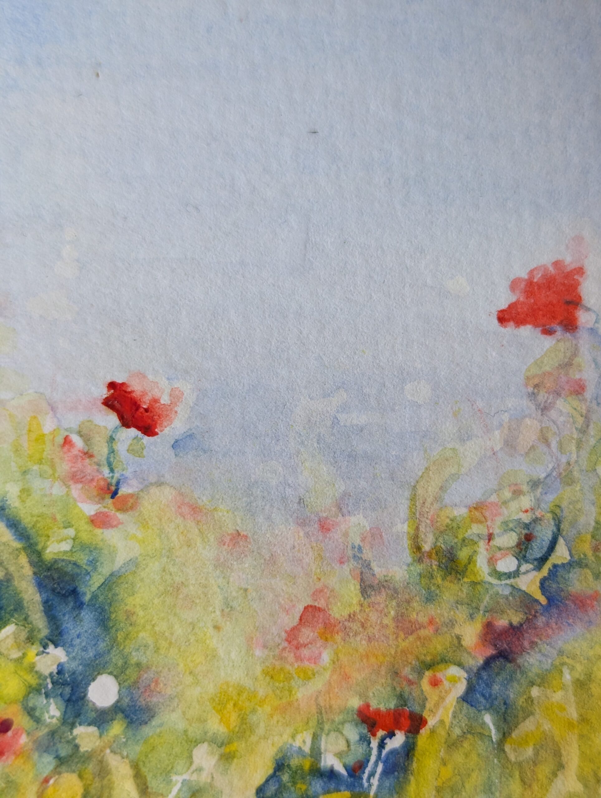 Small artwork to send as gift. This original ACEO sized artwork features poppies, and is painted by Emma Herbert